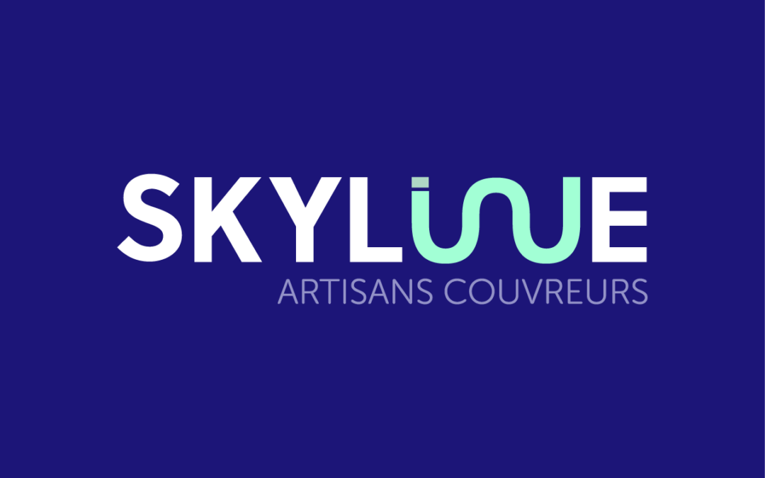 Refonte de site Skyline